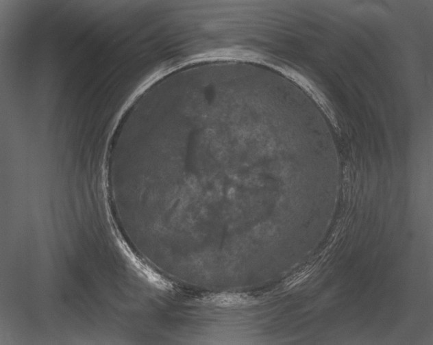 X0000084050998200702232346