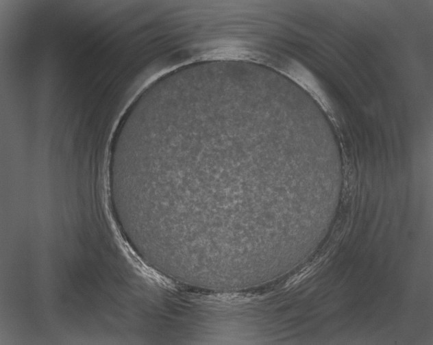 X0000084051000200702232346