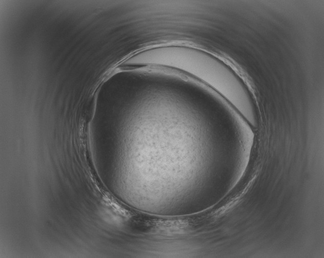 X0000084051001200702232346