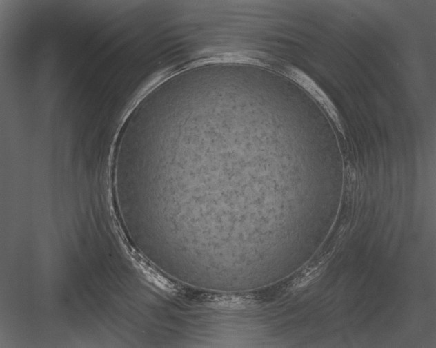 X0000084051002200702232346