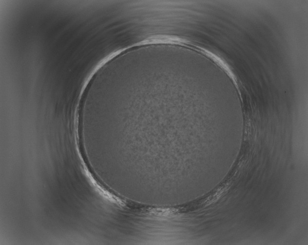 X0000084051003200702232346