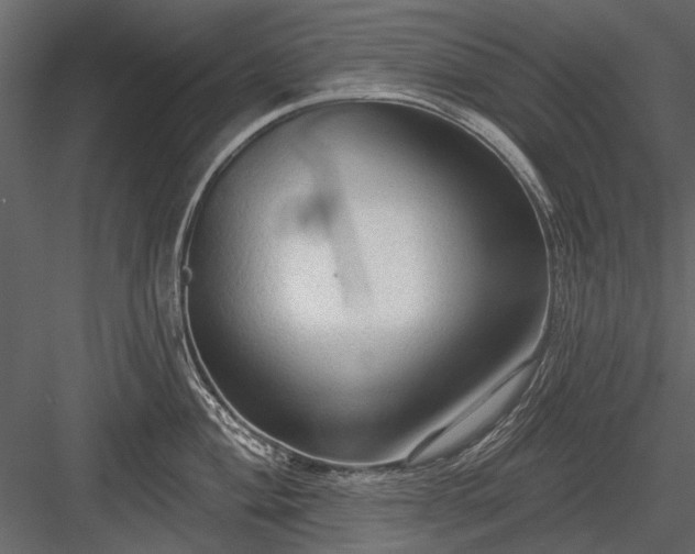 X0000084051004200702232346