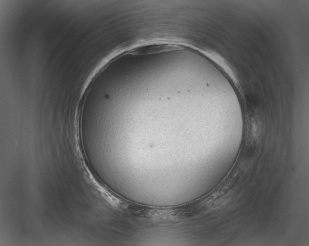 X0000084051006200702232346