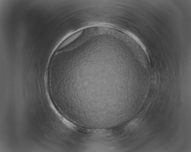 X0000084051007200702232346