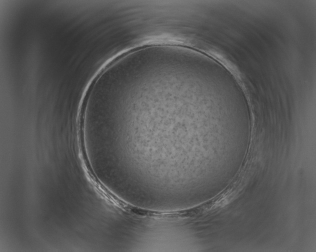 X0000084051008200702232346