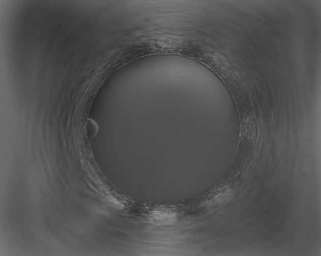 X0000084051009200702232345