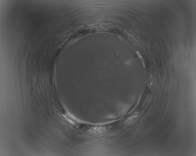 X0000084051010200702232345