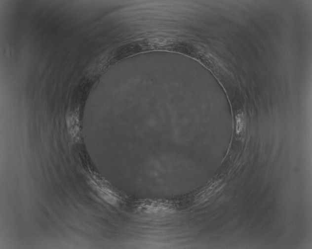 X0000084051011200702232345