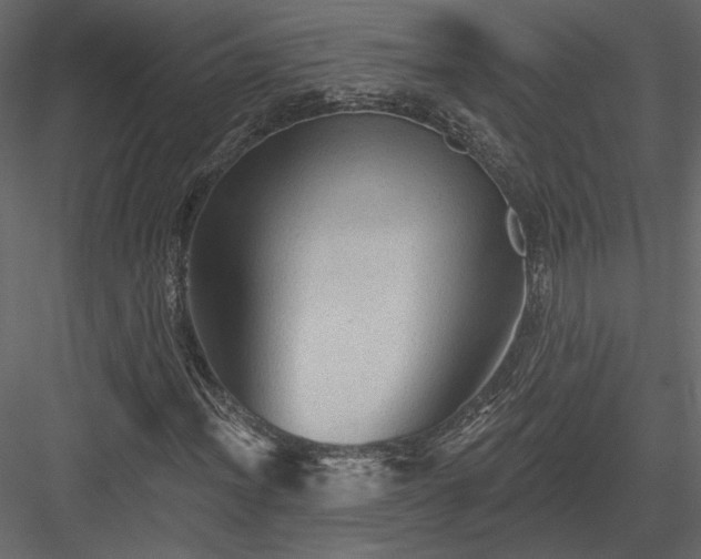 X0000084051012200702232345