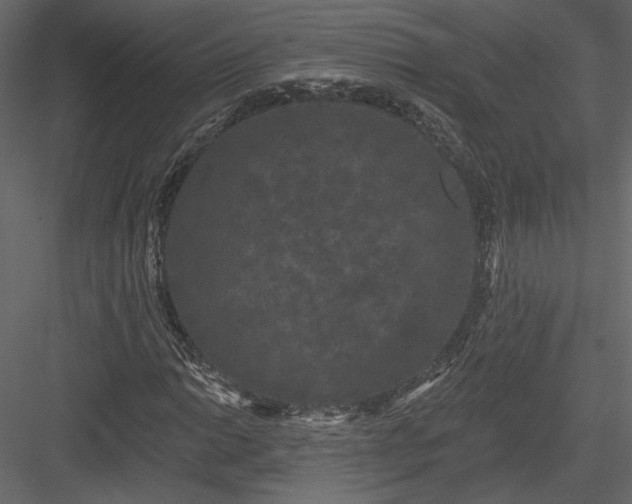 X0000084051014200702232345