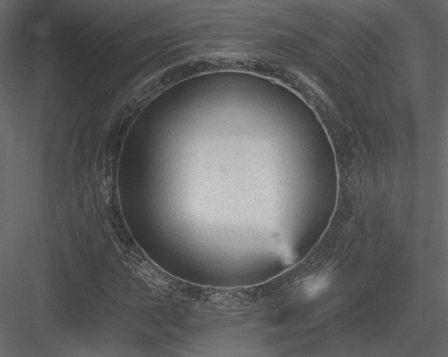 X0000084051015200702232345