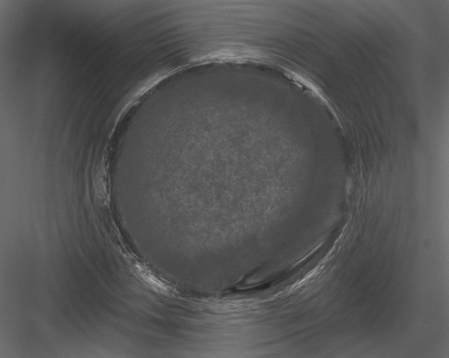 X0000084051018200702232346