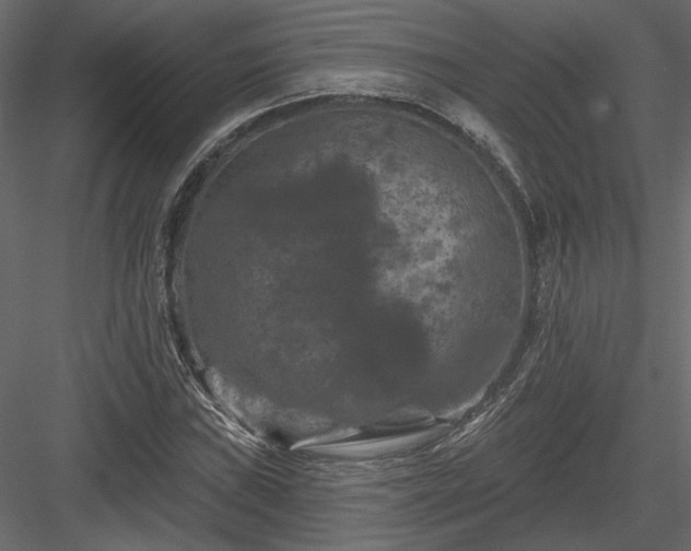 X0000084051019200702232346