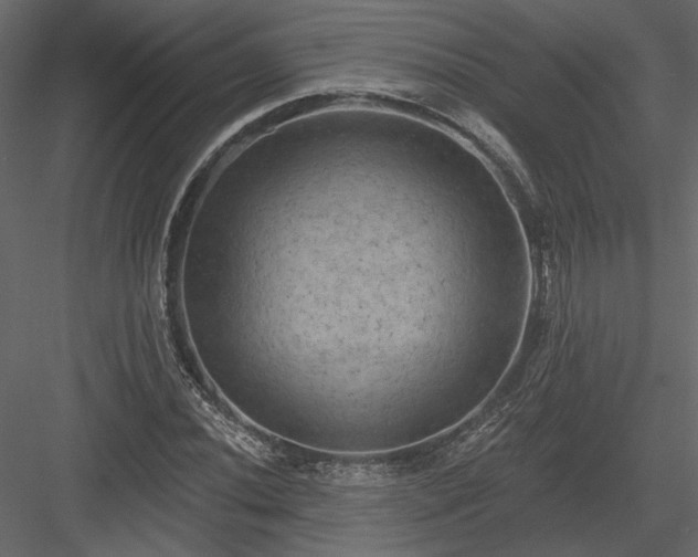 X0000084051020200702232346