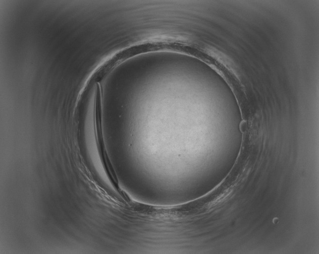 X0000084051021200702232346