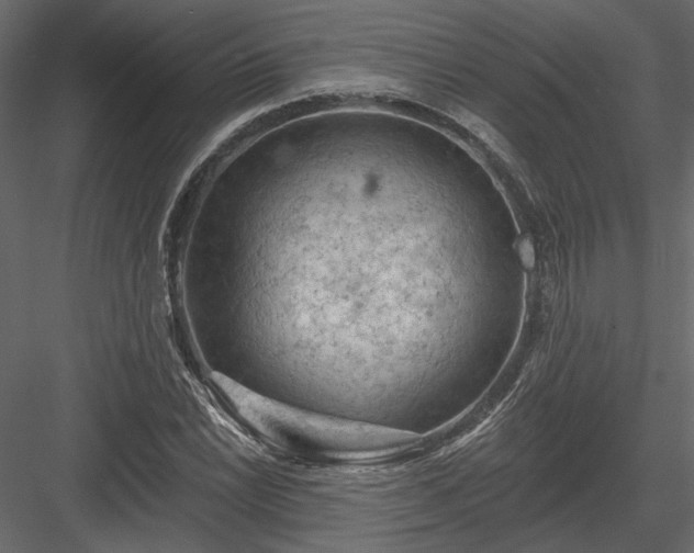 X0000084051022200702232346