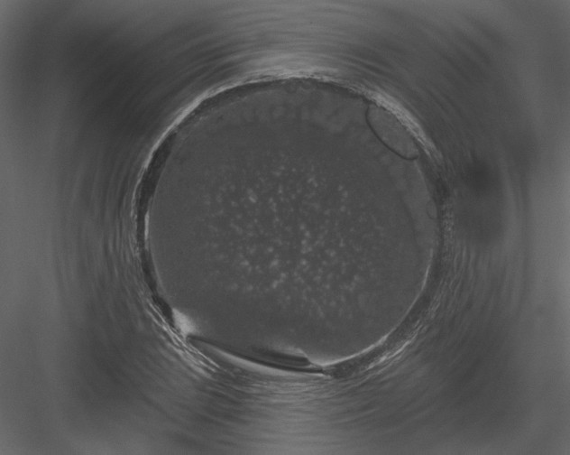 X0000084051023200702232346