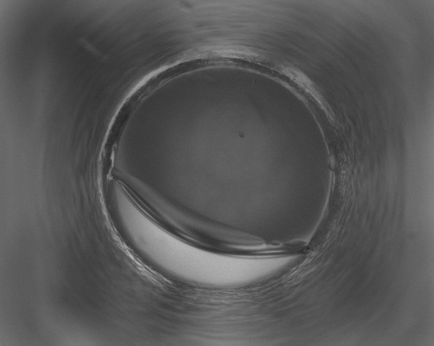 X0000084051024200702232346