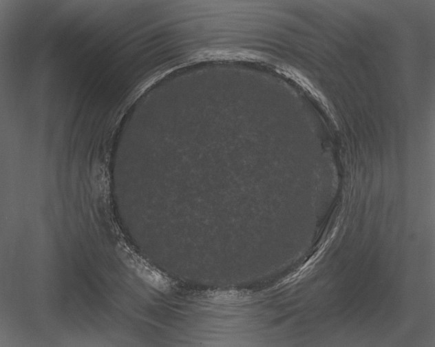 X0000084051025200702232346