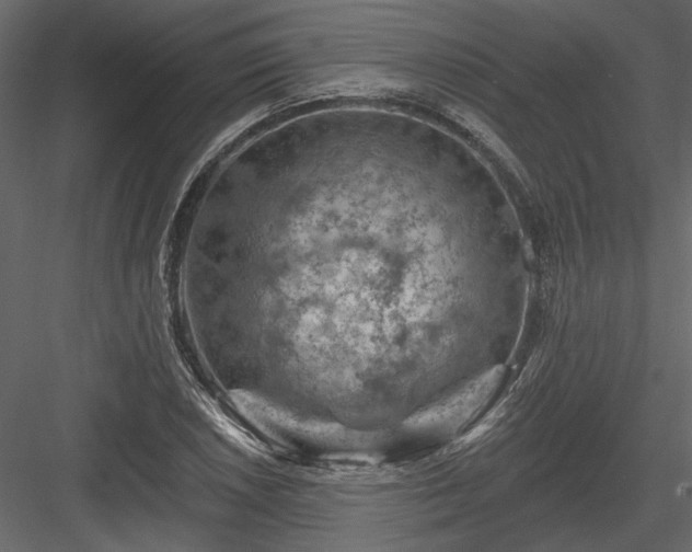 X0000084051026200702232346