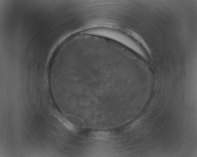 X0000084051027200702232346