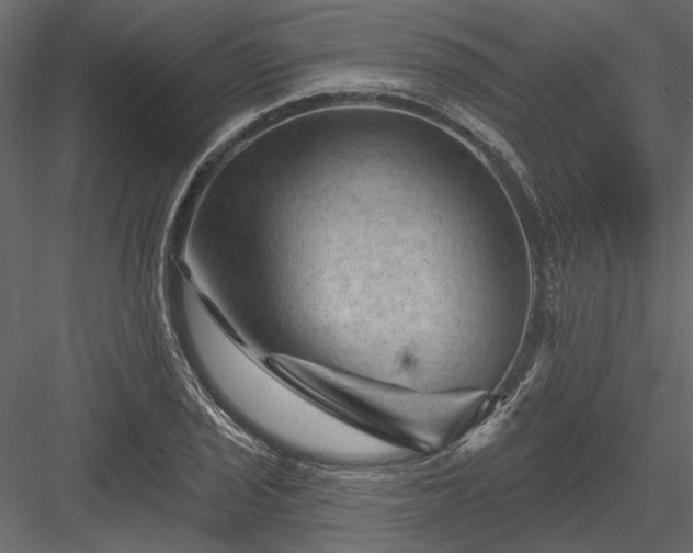 X0000084051029200702232346