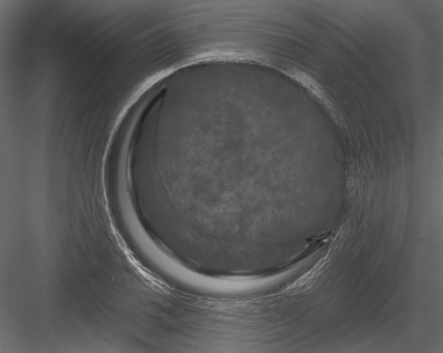 X0000084051030200702232346