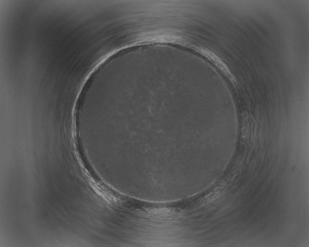 X0000084051031200702232346