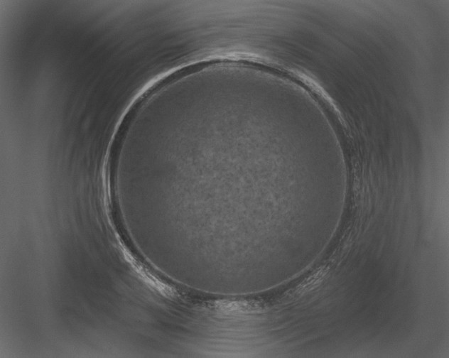 X0000084051032200702232346