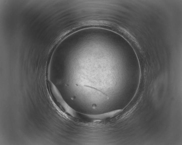 X0000084051033200702232346