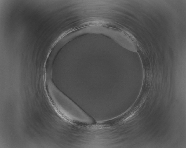 X0000084051034200702232346