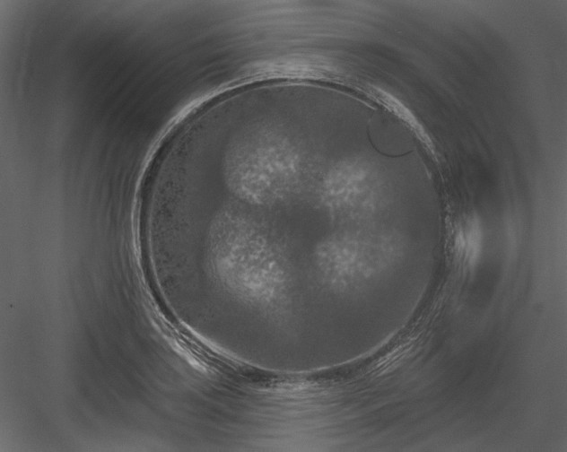 X0000084051035200702232346