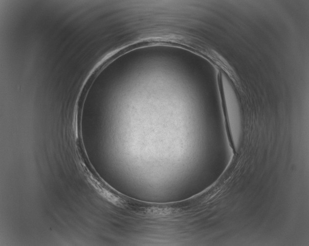 X0000084051036200702232346