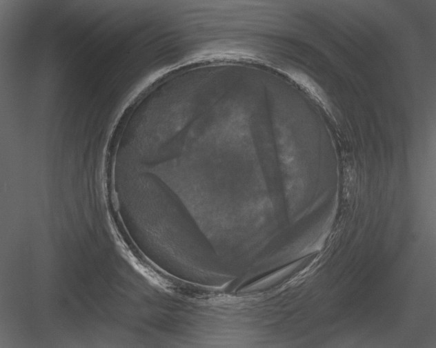 X0000084051038200702232346