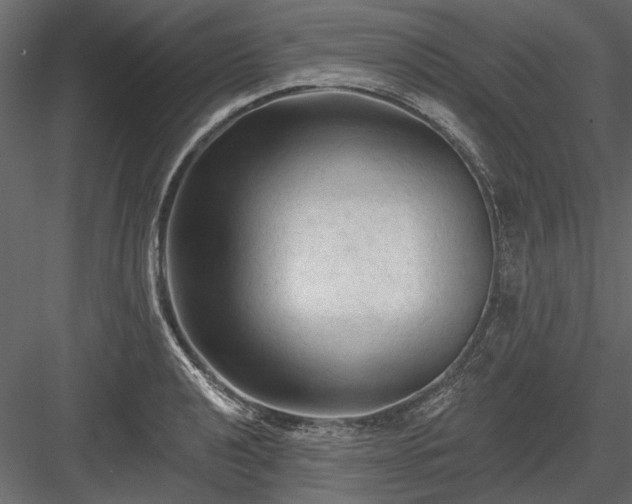 X0000084051040200702232346