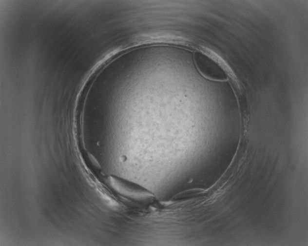 X0000084051043200702232346