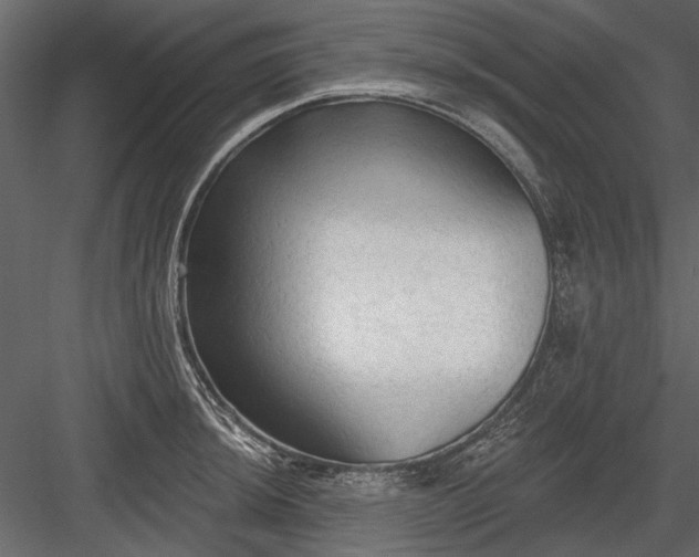 X0000084051044200702232346