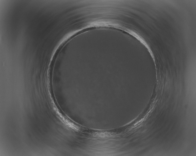 X0000084051045200702232346