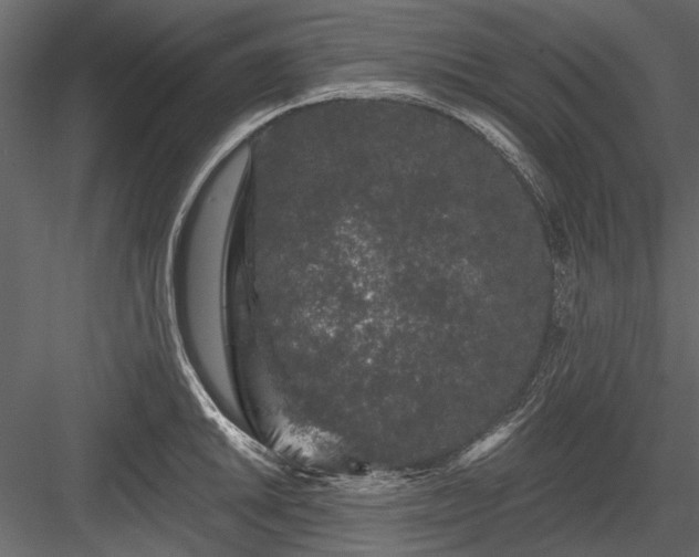 X0000084051046200702232346