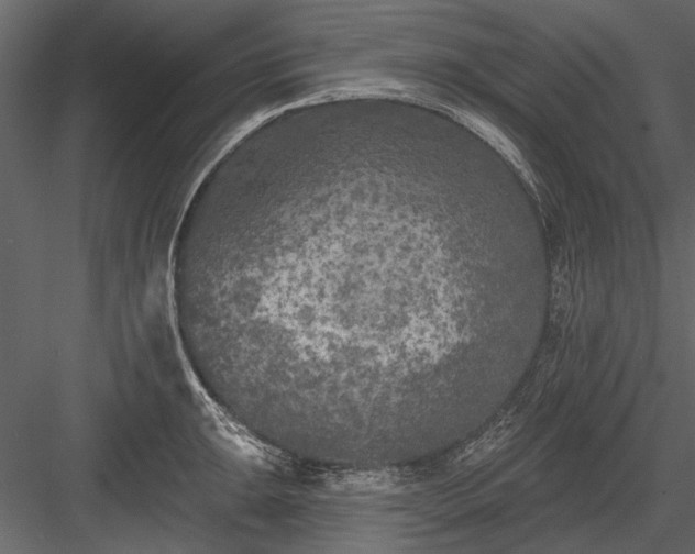 X0000084051047200702232346