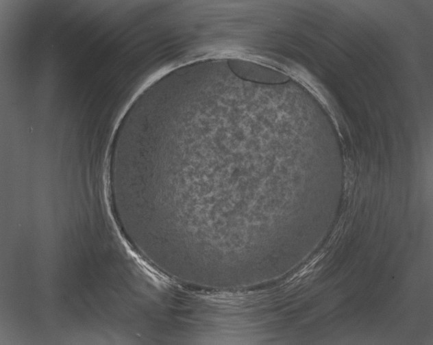 X0000084051048200702232346