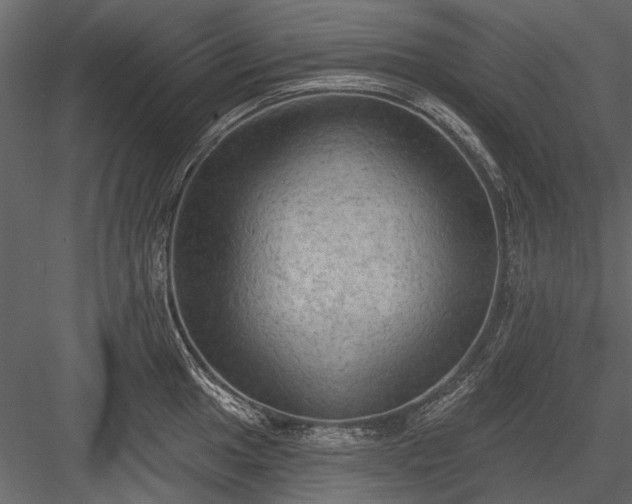 X0000084051049200702232346