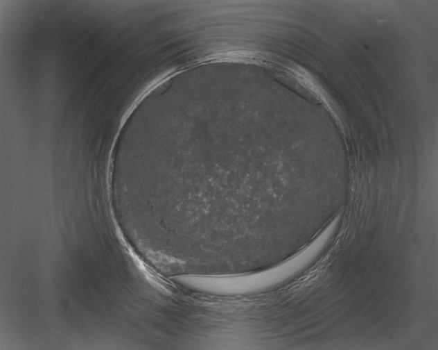 X0000084051050200702232346