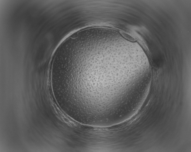 X0000084051052200702232346