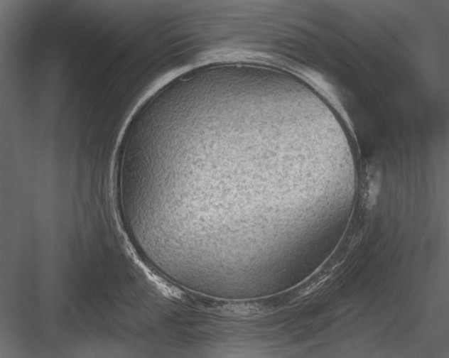 X0000084051053200702232346