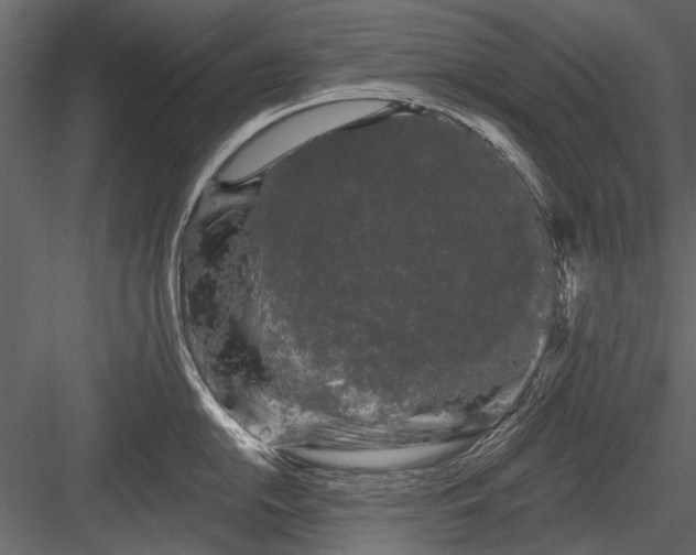 X0000084051054200702232346