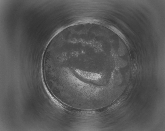 X0000084051055200702232346