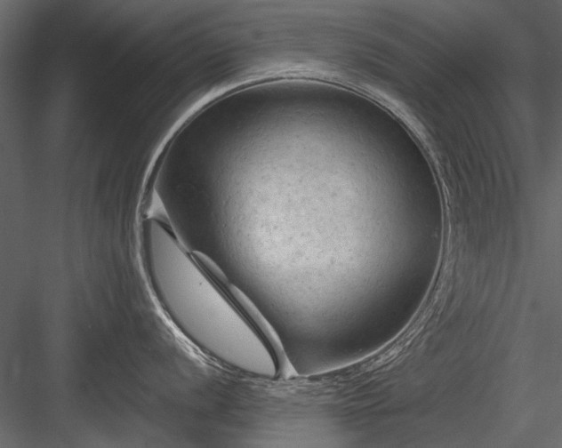 X0000084051056200702232346