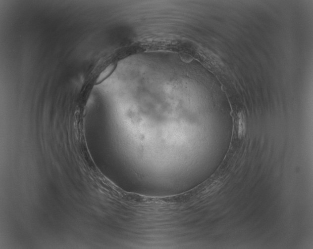 X0000084051059200702232345