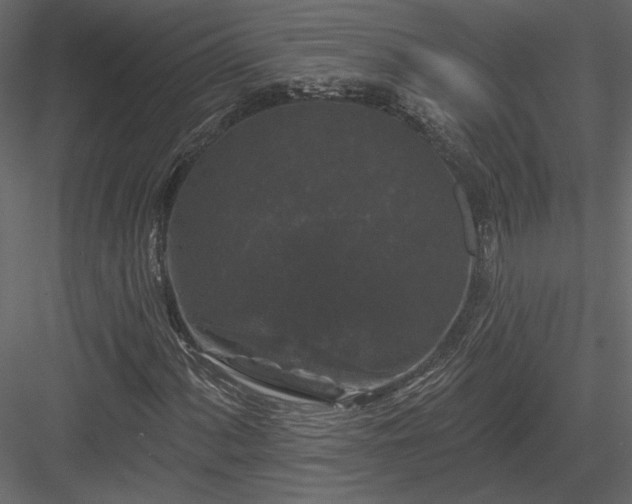 X0000084051060200702232345